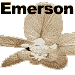 emerson2002.gif