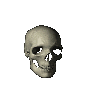 esc_skull_003.gif